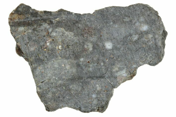 Lunar Meteorite ( g) Slice - Laayoune #291633